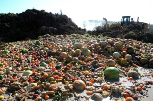 Read more about the article 6 TIPS TO REDUCE YOUR FOOD WASTE AND GREEN THE PLANET!