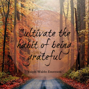 Read more about the article PRACTICE GRATITUDE DAILY FOR HAPPIER, HEALTHIER LIFE!