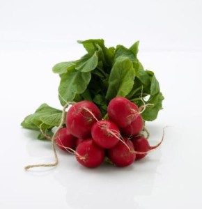 TOP 5 BEST VEGETABLES FOR AN INDOOR GARDEN|radish-Cherry-Belle|ko-ecolife
