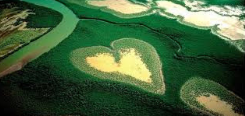 You are currently viewing 5 EARTH LOVING GIFTS FOR YOUR VALENTINE!