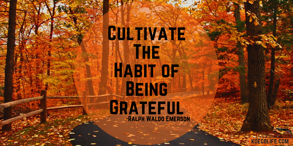 Read more about the article PRACTICE ‘ATTITUDE GRATITUDE’ FOR A LONG, HEALTHY LIFE
