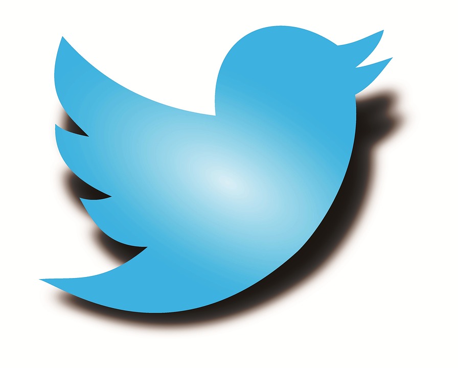 This image has an empty alt attribute; its file name is twitter-3D-logo.jpg