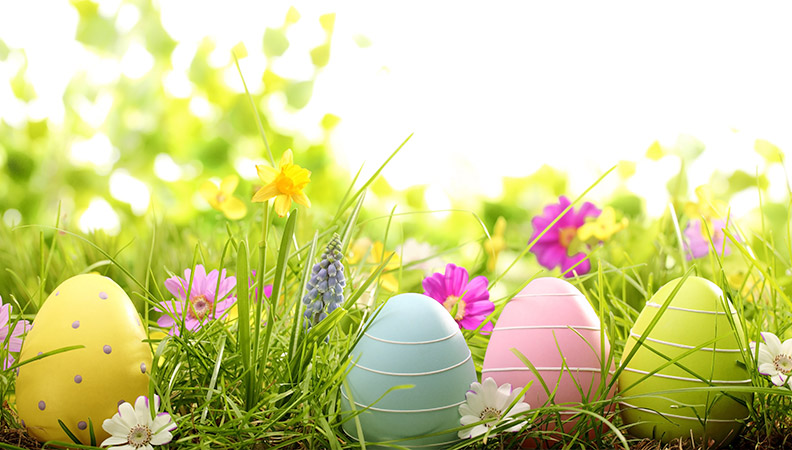 Read more about the article HOW TO GREEN YOUR EASTER/PASSOVER