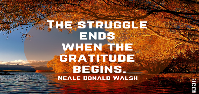 Read more about the article 3 WAYS TO PRACTICE ATTITUDE GRATITUDE THIS HOLIDAY