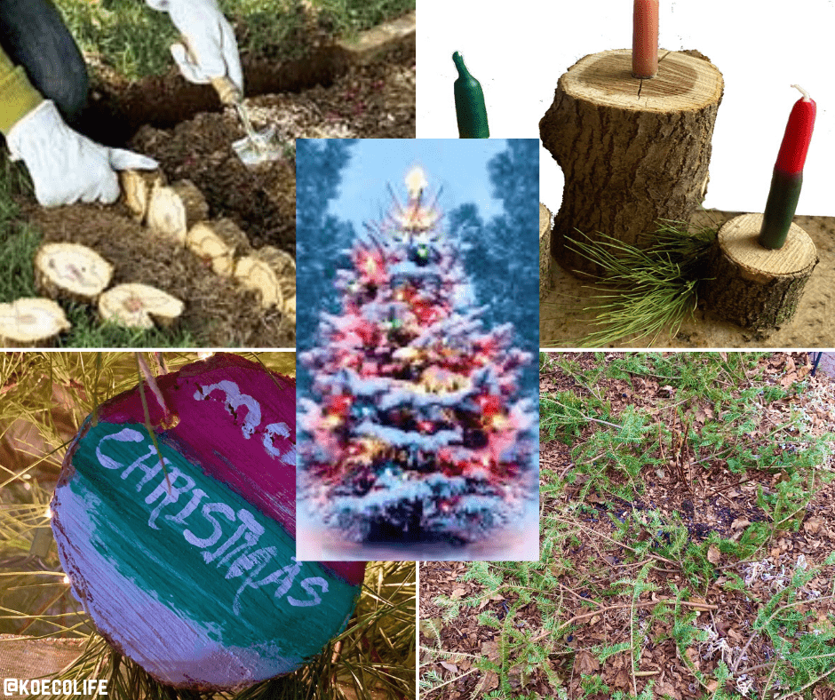 Read more about the article 7 ECO ALTERNATIVES TO THROWING OUT YOUR CHRISTMAS TREE