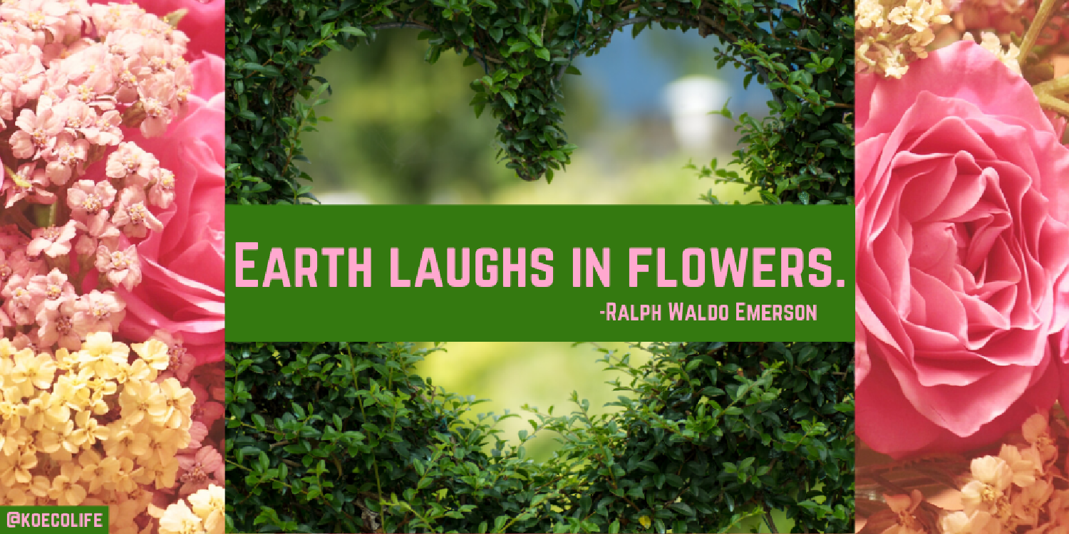 earth-laughs-monday-motivation-meditation-flowers-emerson-quote-VALENTINES-DAY|ko-ecolife|the-powch!