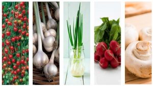 Read more about the article TOP 5 BEST VEGETABLES FOR AN INDOOR GARDEN!